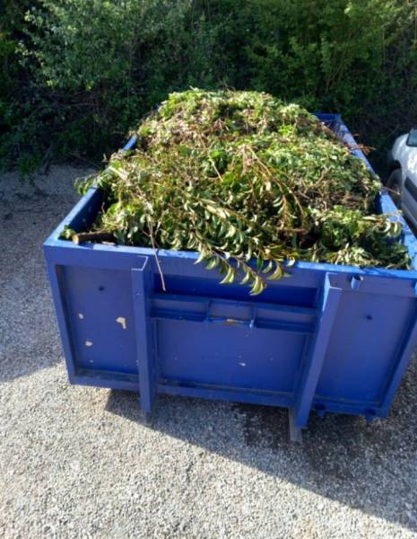 Location de benne à Salon de Provence pour déchets verts : rapide, facile, écologique